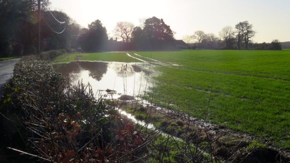 Waterlogged field