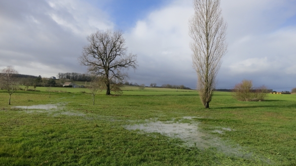 Waterlogged field, Sigoules 1.13