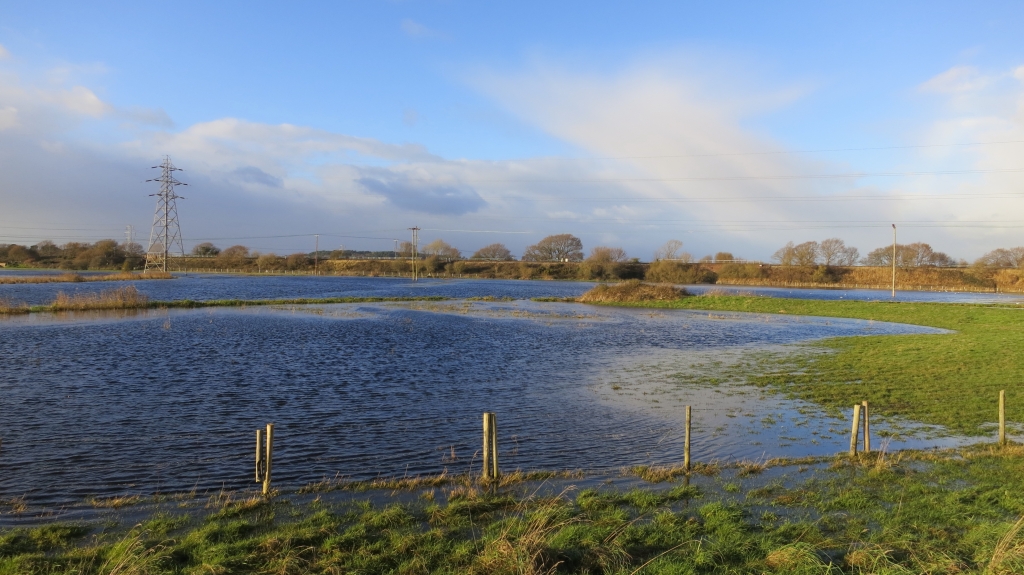 Waterlogged fields, Christchurch 12.12 (2)