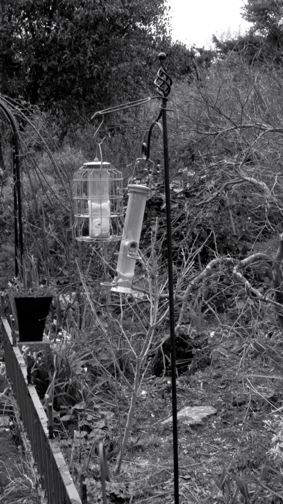 Windblown bird feeders