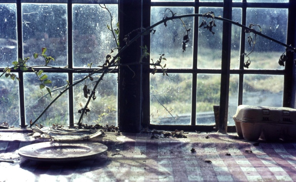 Window of deserted house 3.68