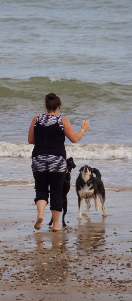Woman and dogs on beach 1