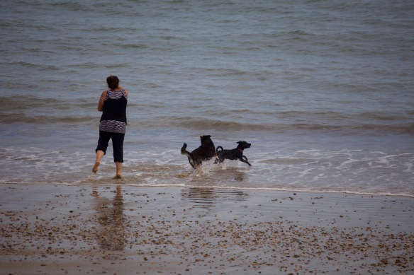 Woman and dogs on beach 2