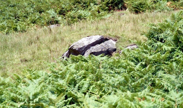 Granite boulder on Place Fell 18.8.92