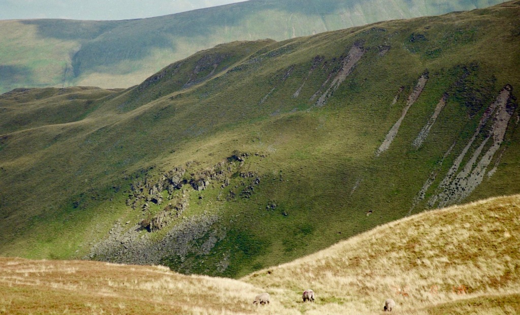 Place Fell with sheep 18.8.92