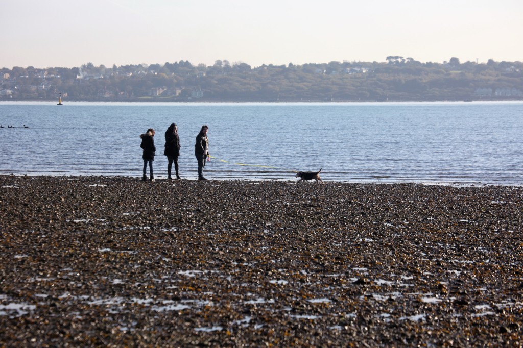 Group with dog on beach