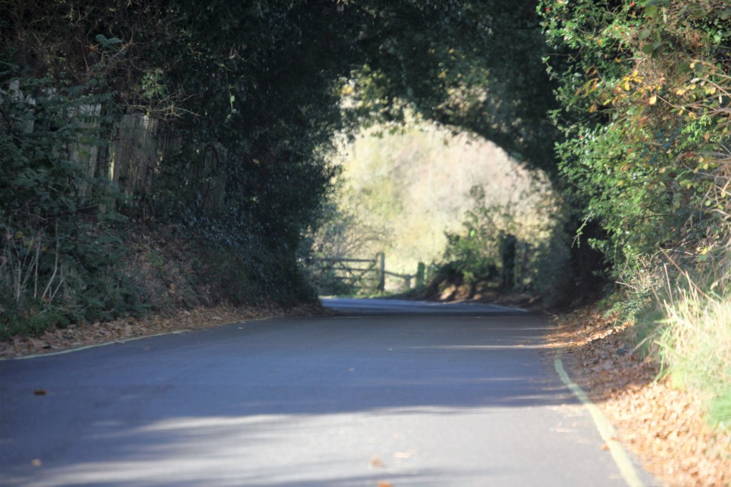 Inchmery Lane