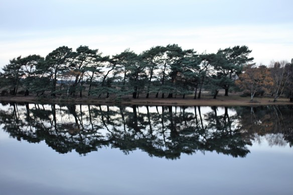 Trees reflected in Hatchet Pond