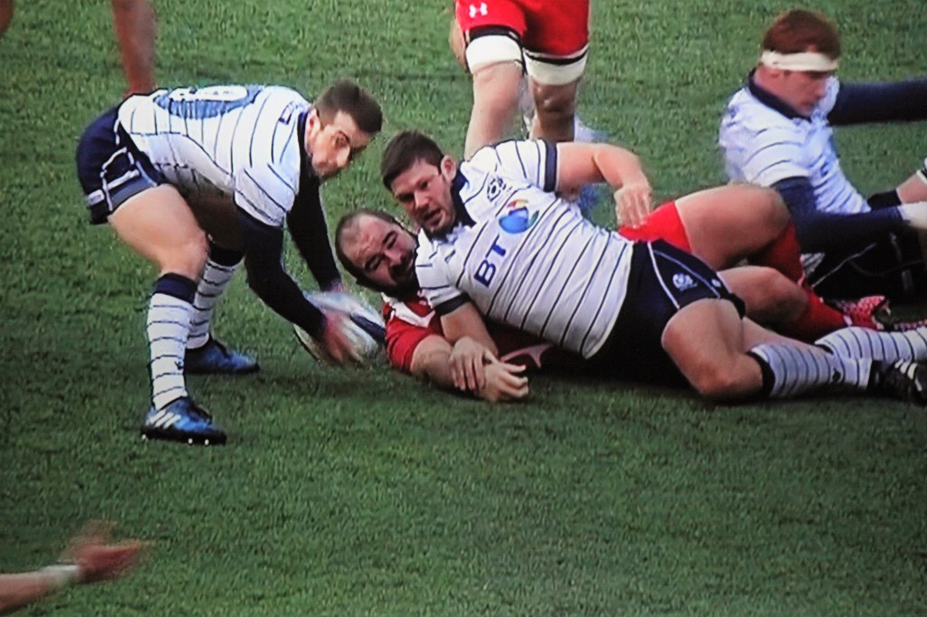 Rugby - Scotland v. Georgia