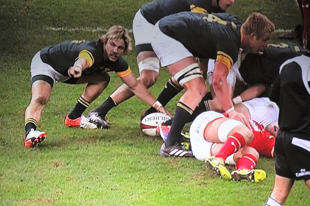 Rugby - Wales v. South Africa
