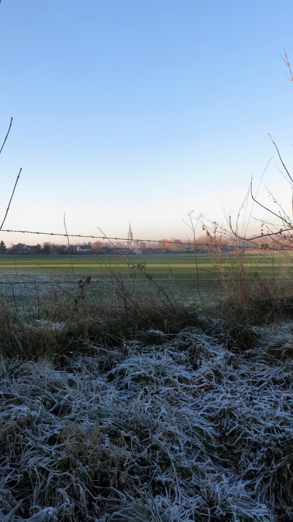 Frosted grass and Salisbury Cathedral