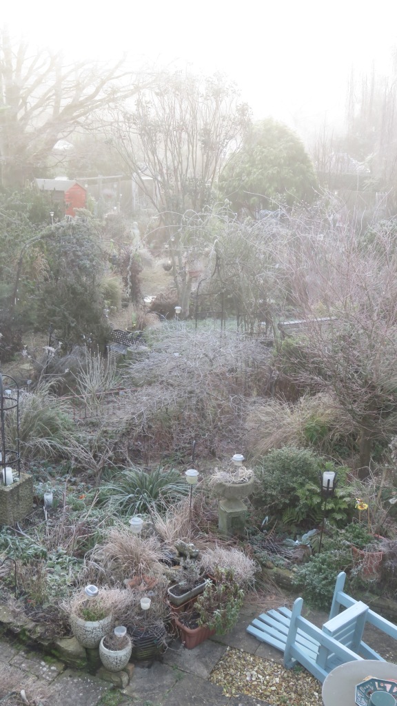Frosted garden 3