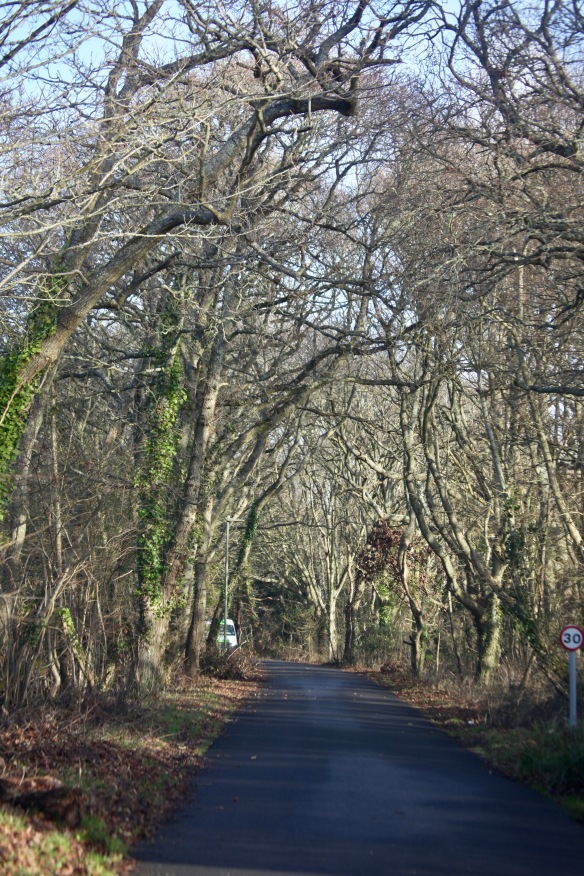 Platoff Road