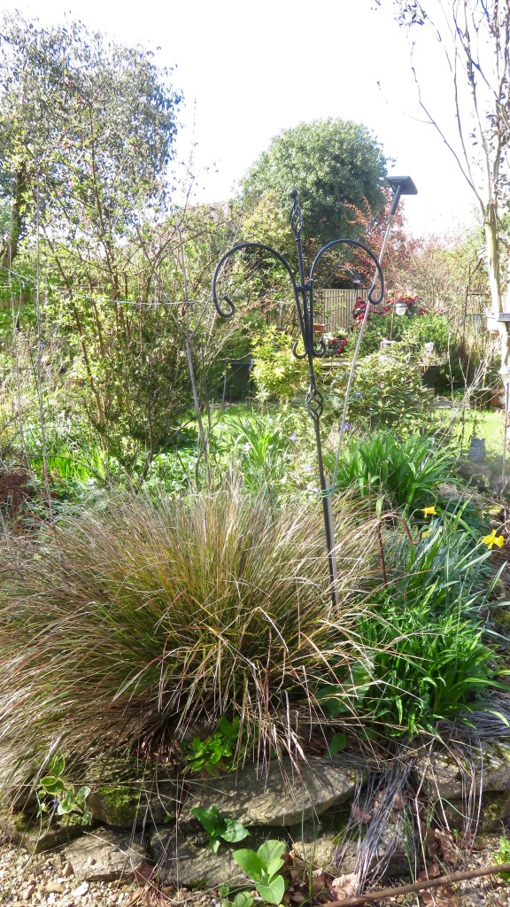 Garden across Margery's Bed