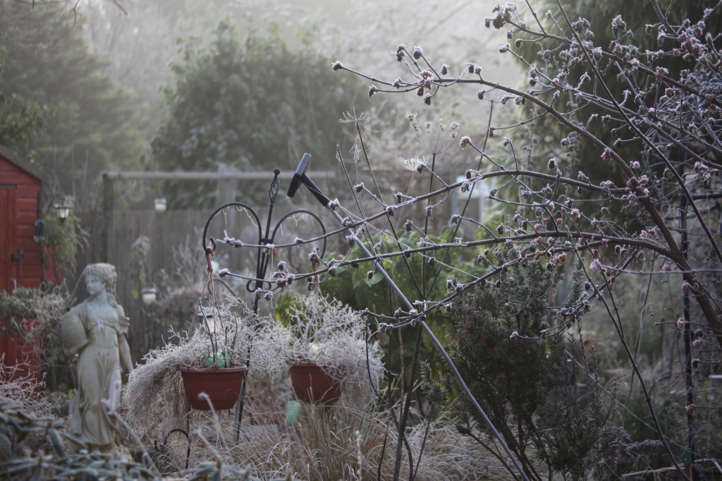 Frosted garden 2