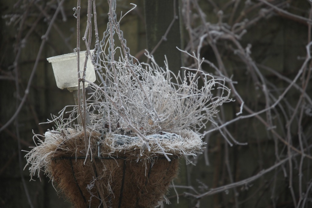 Frosted hanging basket