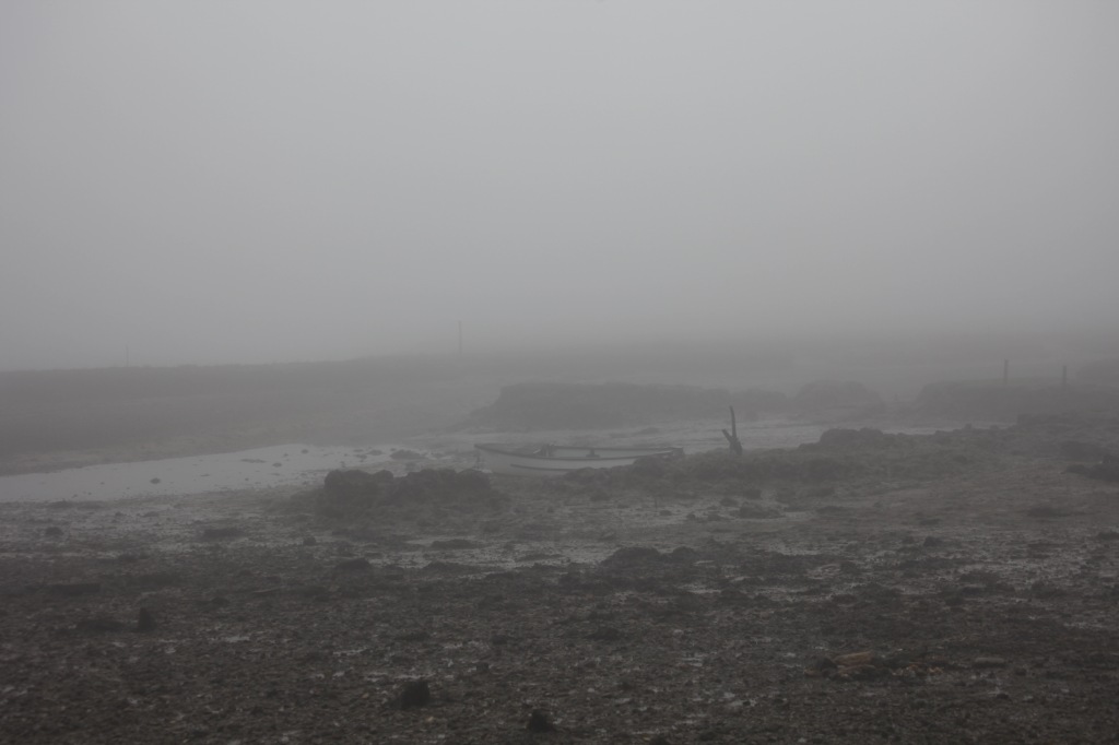 Low tide in fog 1