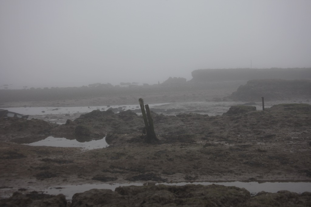 Low tide in fog 5