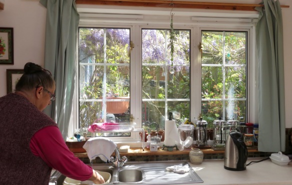 Jackie with wisteria through kitchen window