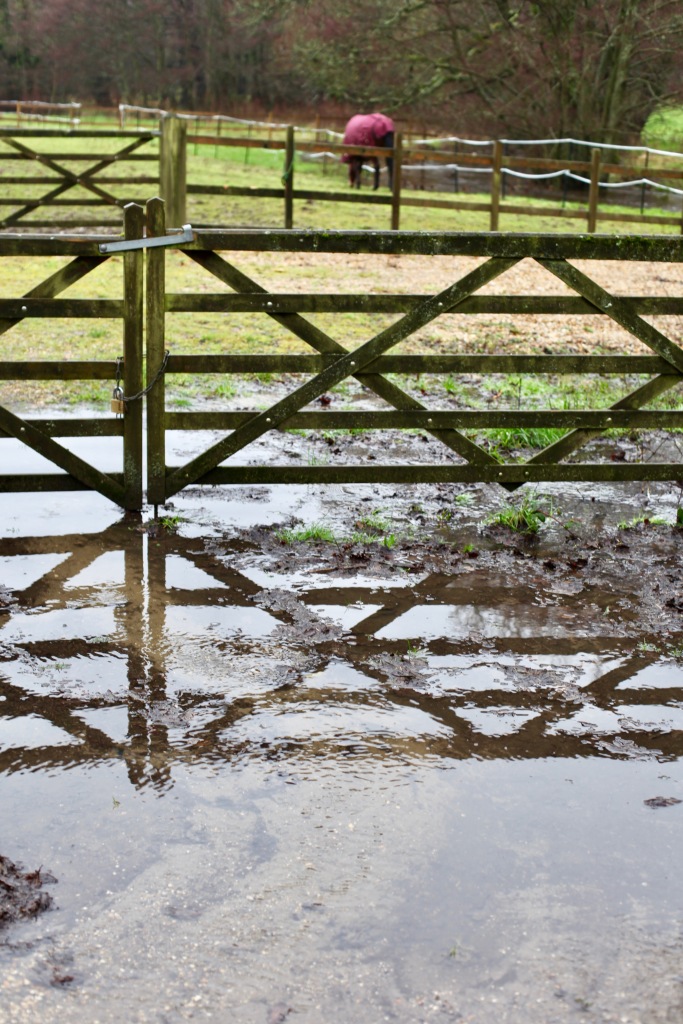 Muddy gateway