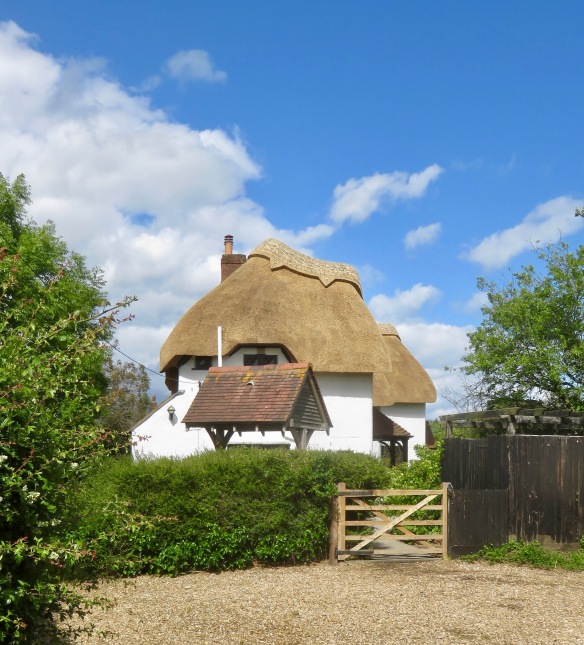 Thatched roof 3