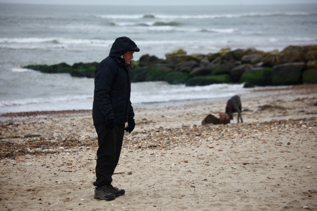 Man and dogs on beach 1