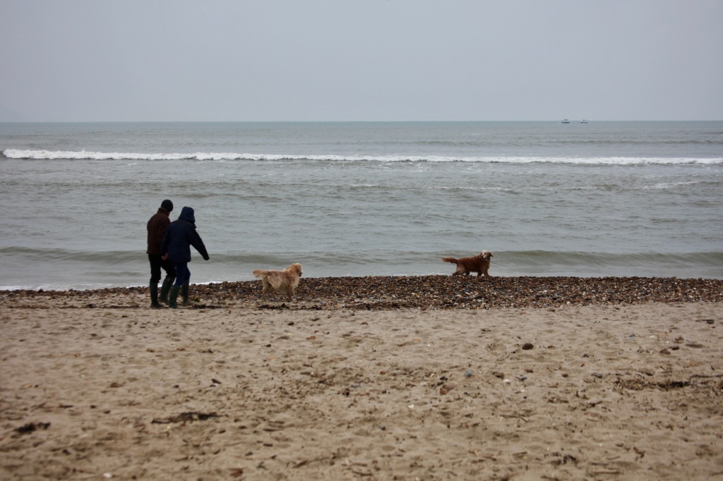 Couple and dogs on beach 2