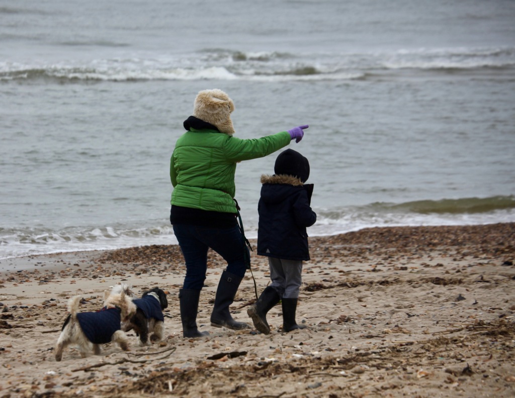 Woman, boy, and dogs on beach