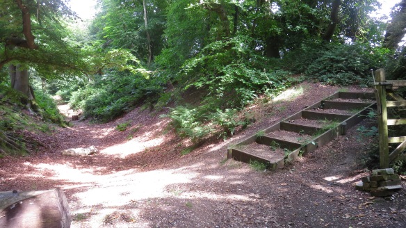 Steps to Buckland Hill Fort central plateau