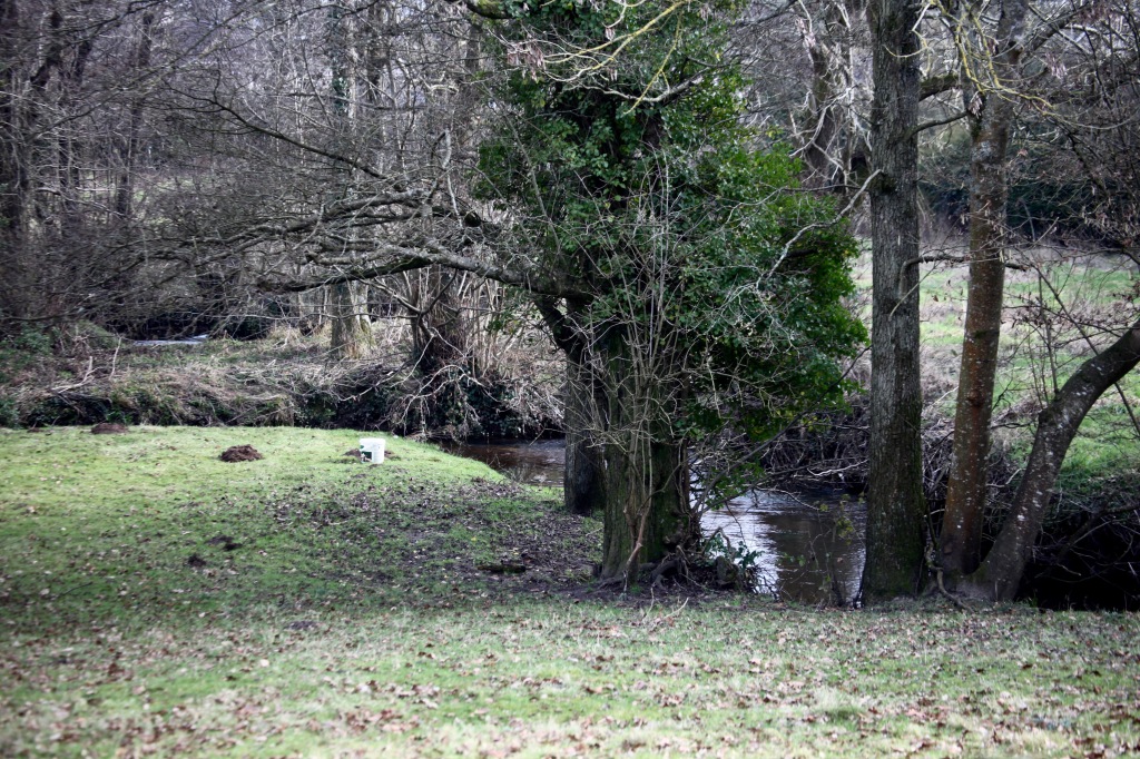 Landscape with stream 1