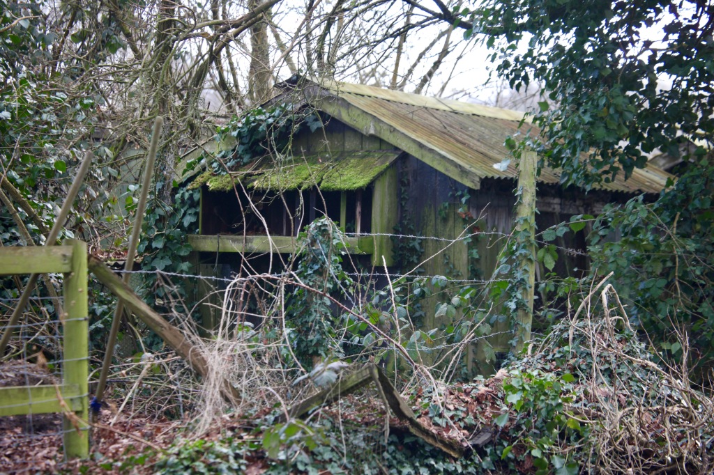 Derelict shed 1