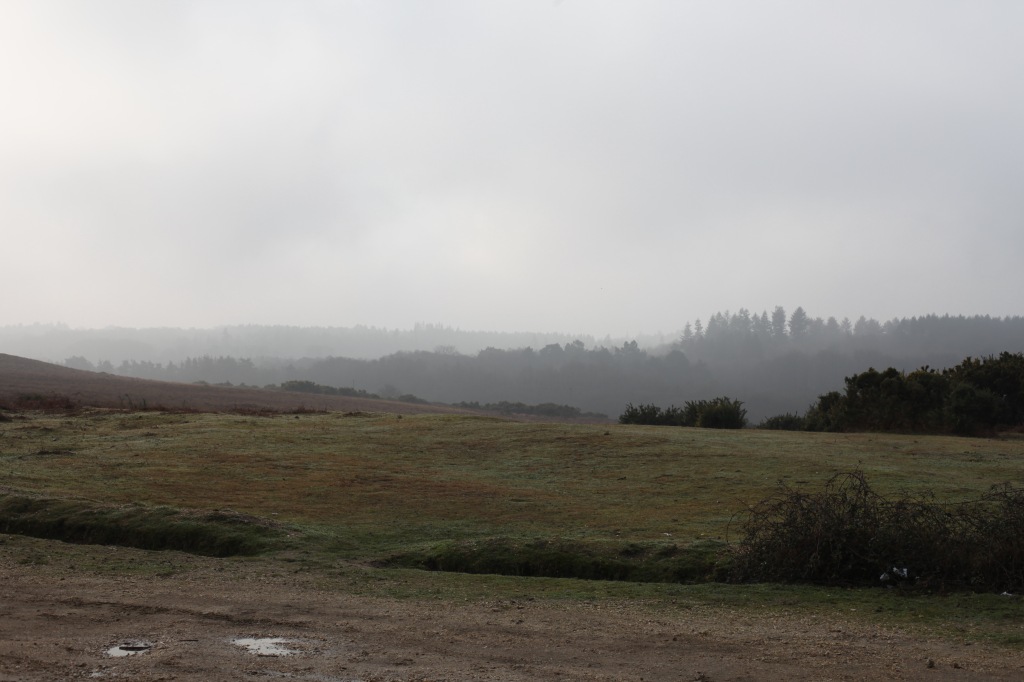 Landscape in mist 1