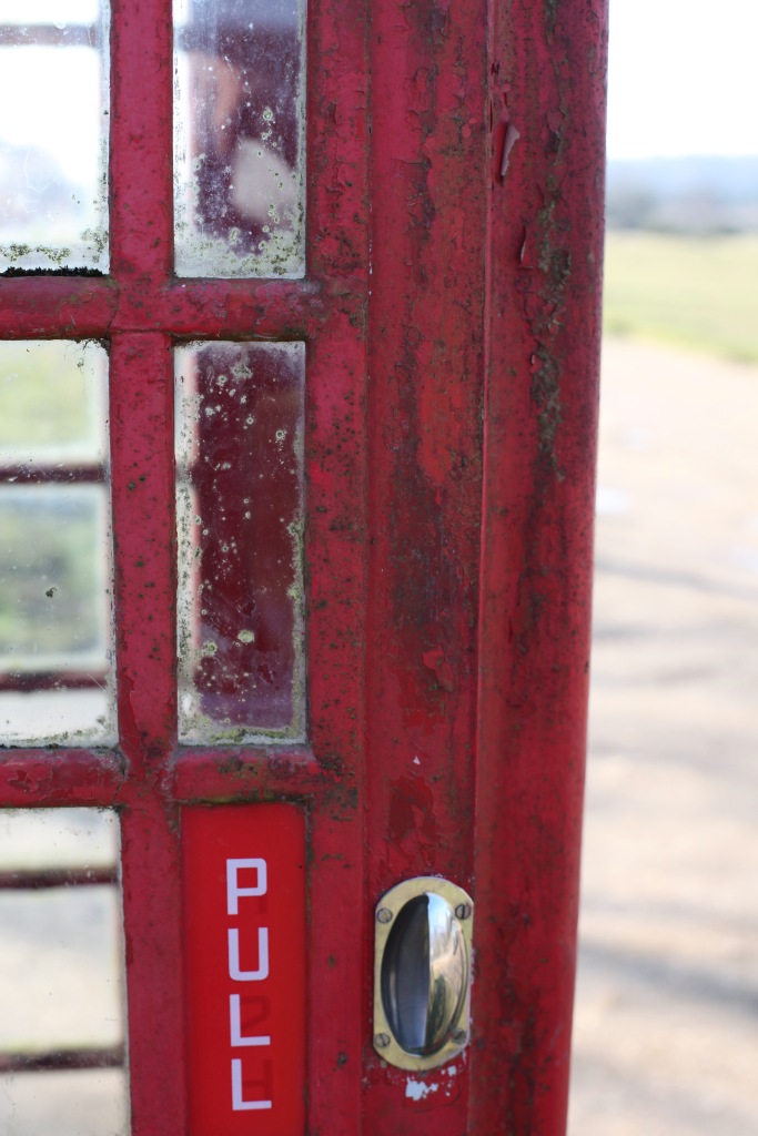 Telephone box door