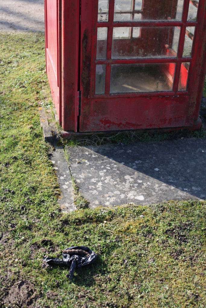 Phone box and poop scoop bag