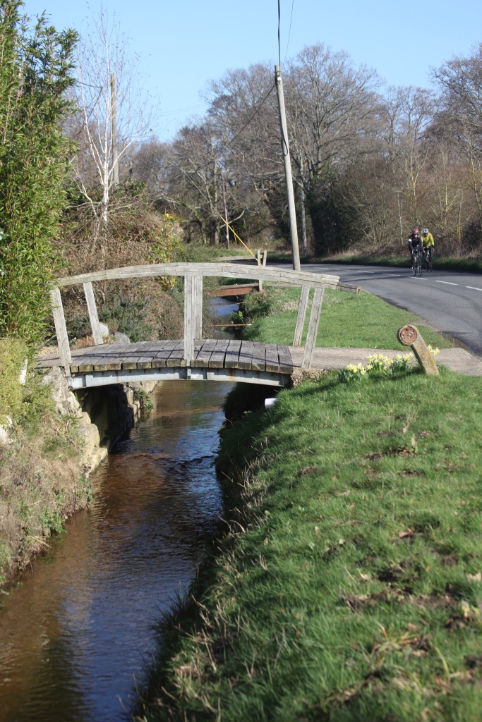 Bridges over stream 3