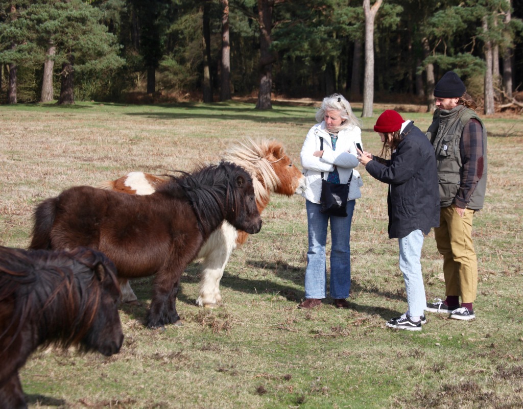 Group photographing ponies 2