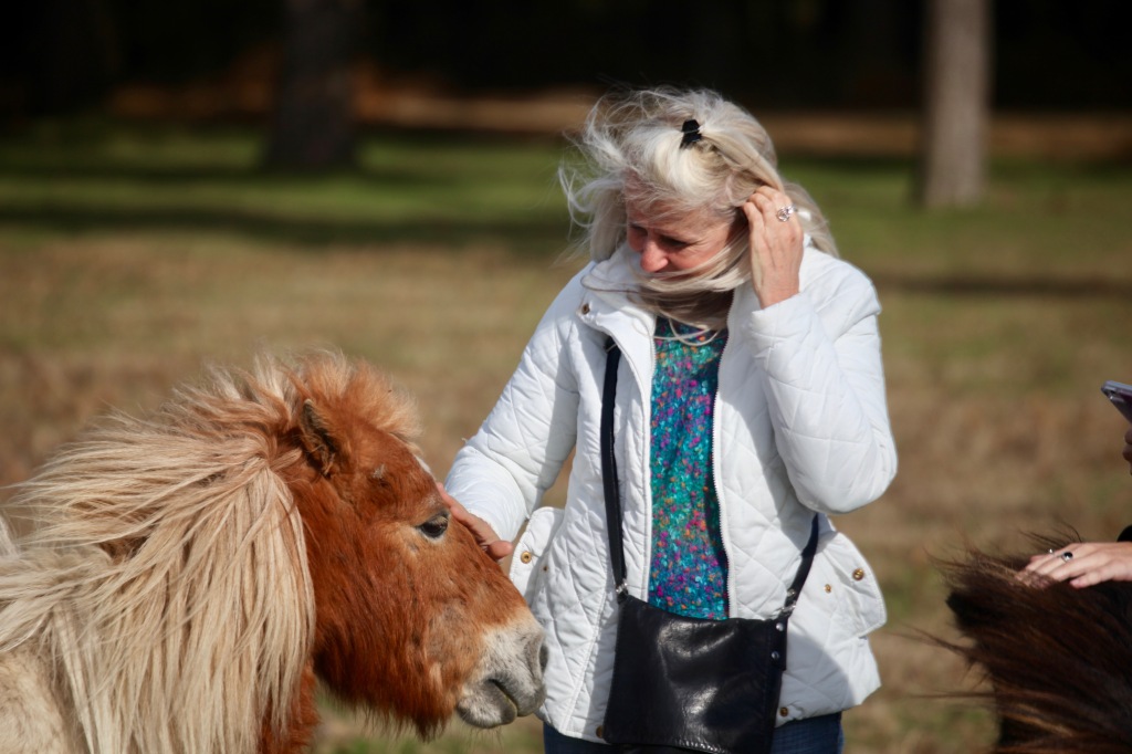 Women petting ponies