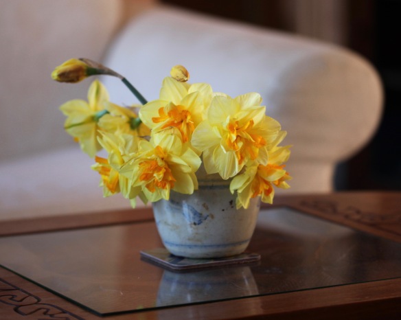Daffodils in ginger jar