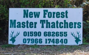 New Forest Master Thatchers