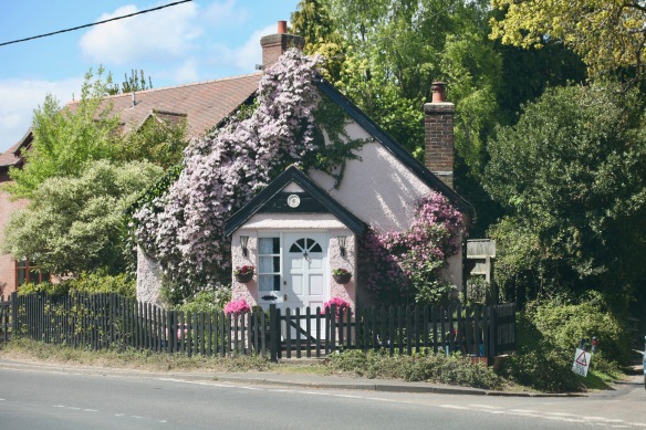 House in pink