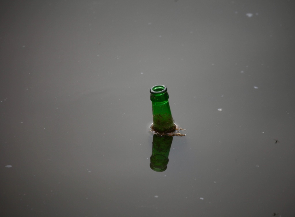 Bottle in lake 2