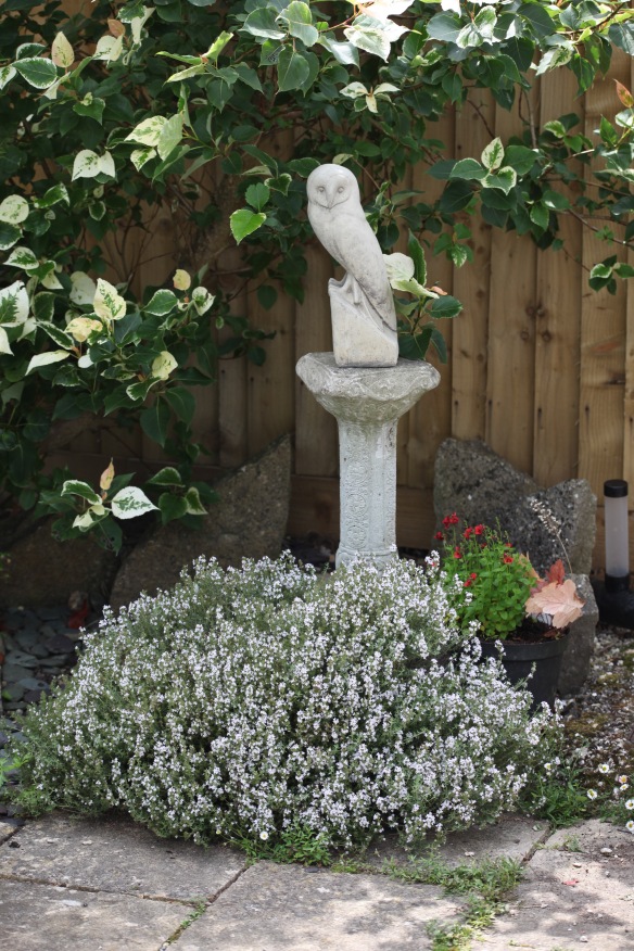 Barn Owl sculpture on plinth