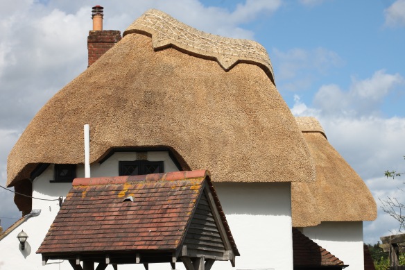 Thatched roof 2