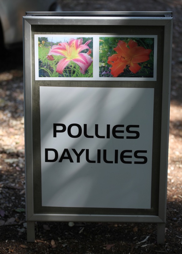 Pollies Daylilies sign