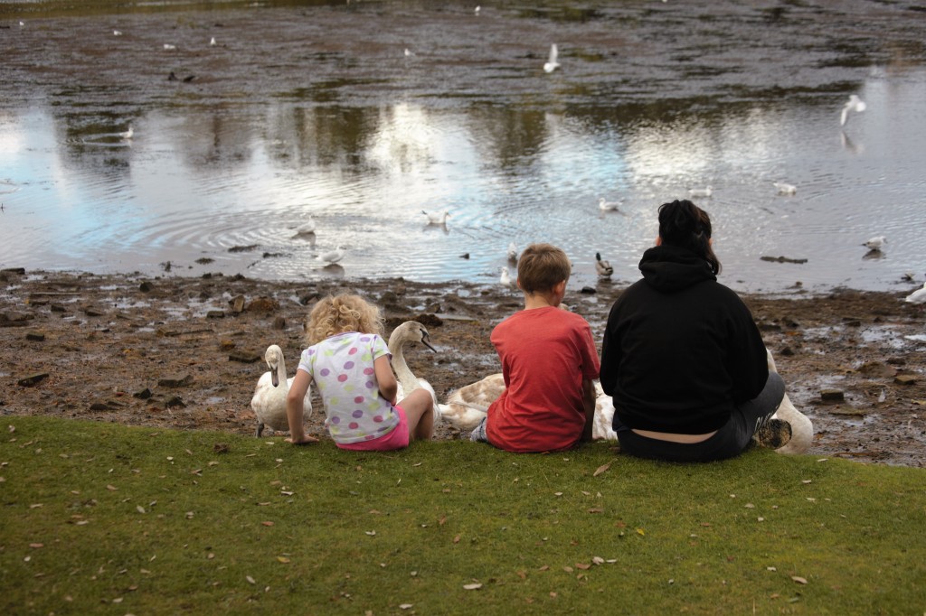 Children and swans