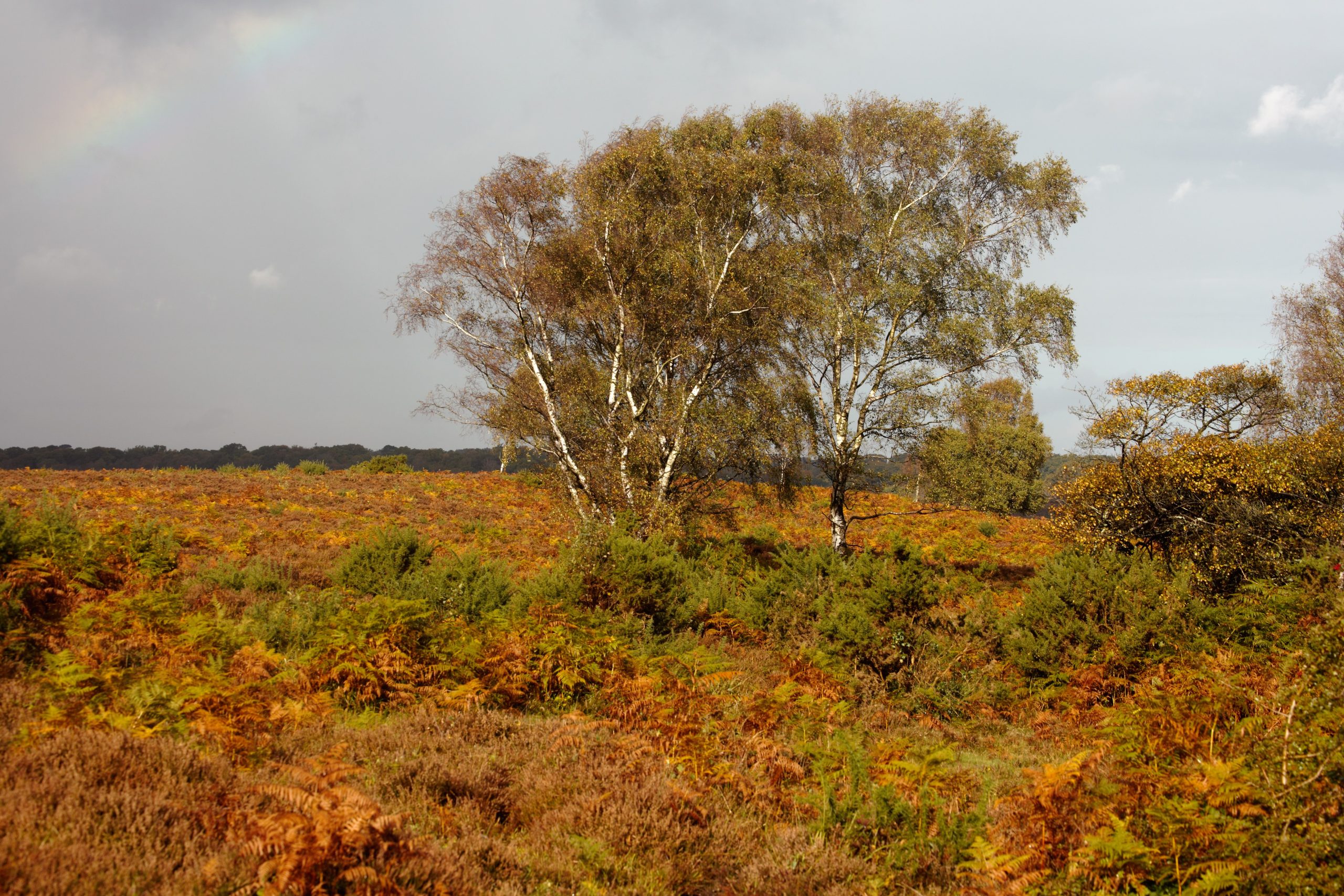 Landscape with partial rainbow