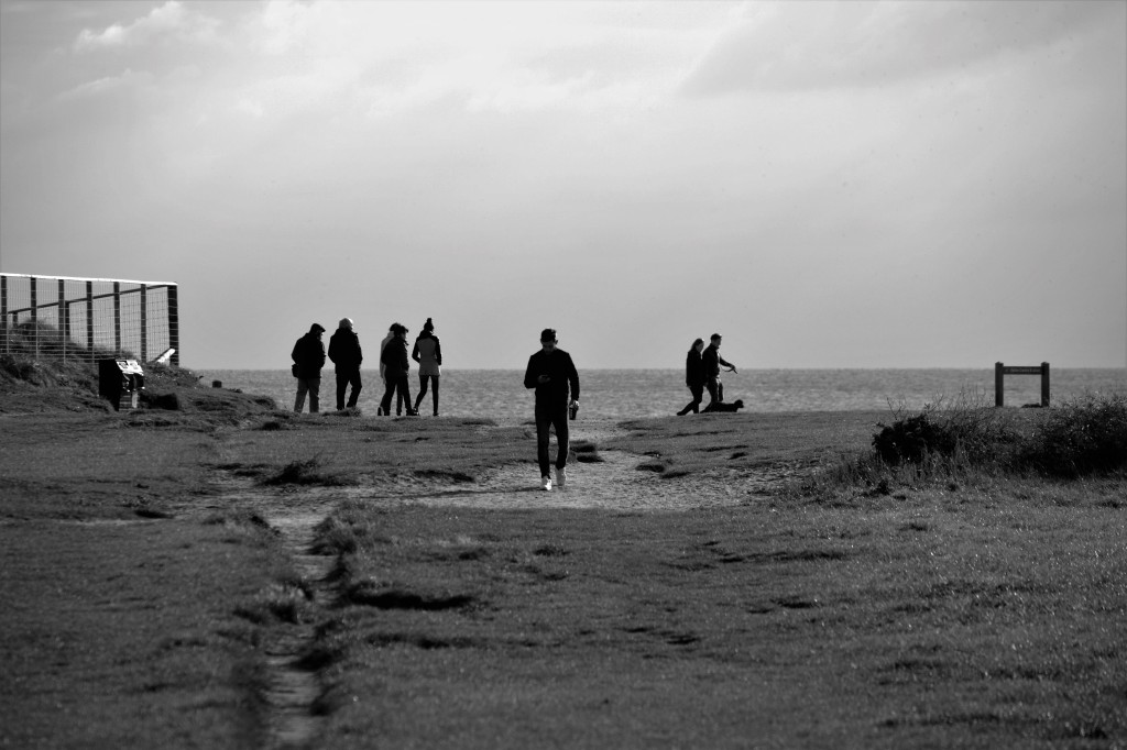 Group in silhouette