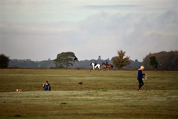 Pony riders and dog walkers