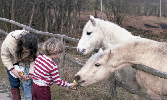 Jessica, Sam and Louisa feeding ponies 1986
