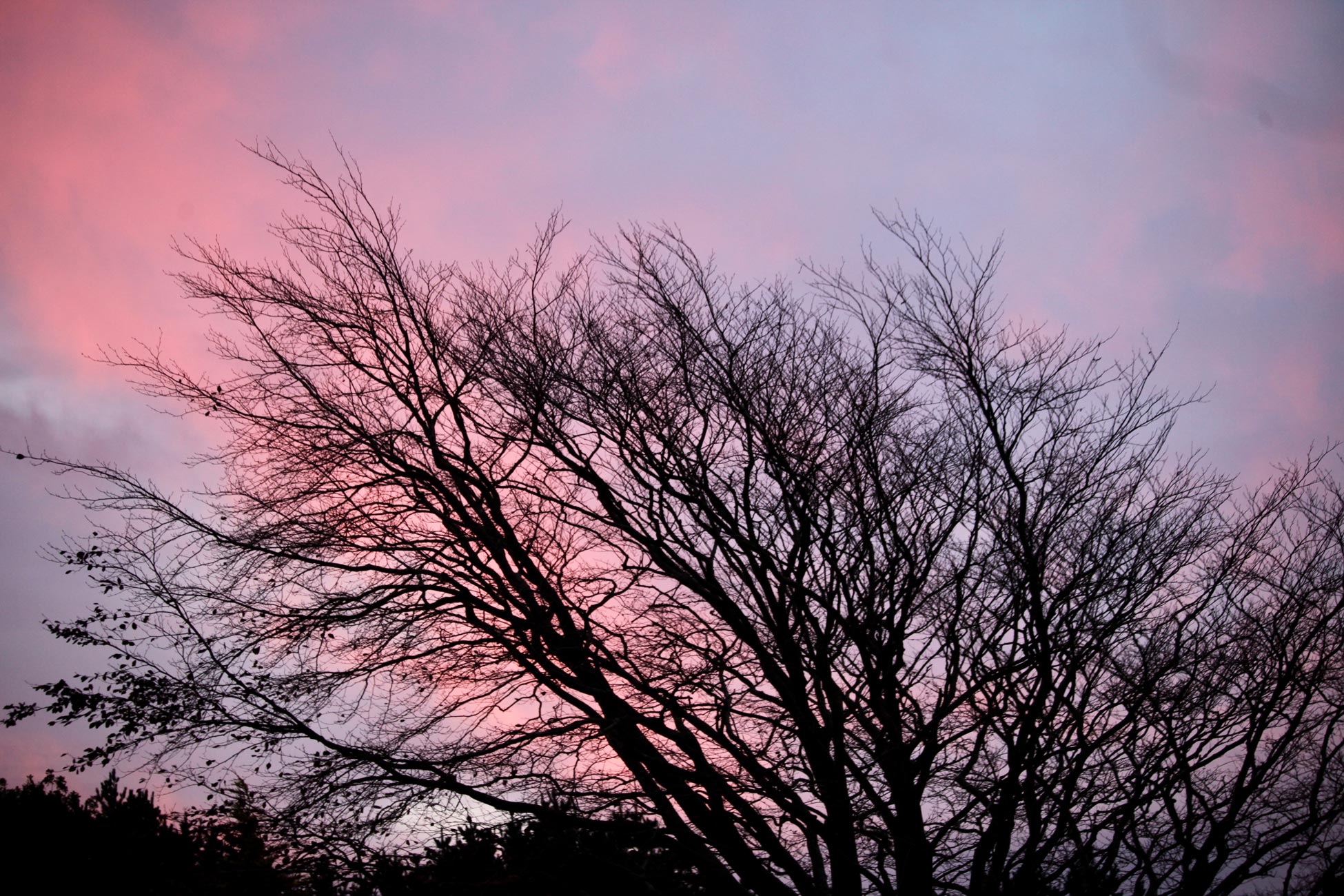 What does a red sky in the morning mean? Londoners wake up to gorgeous  sunrise